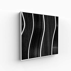 Canvas Wall Art for Living Room, Bedroom Silence Framed Canvas Prints for Home Decoration Ready to Hang - 16x16 inches