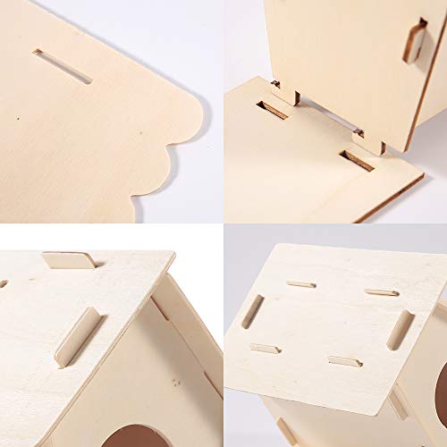 2 Pack Bird House Kit, DIY Bird House Kit for Children to Build, Paint Birdhouse, Crafts for Kids Ages 4-8 8-12, Christmas Gifts for Kids (Small)…