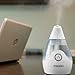 Personal Portable Ultrasonic Cool Mist Humidifier | 650 ML Reservoir, 10 Hour Runtime, Travel Friendly, Single Touch Operation | BONUS WICK FILTER, Whisper Quiet, Compact | HoMedics