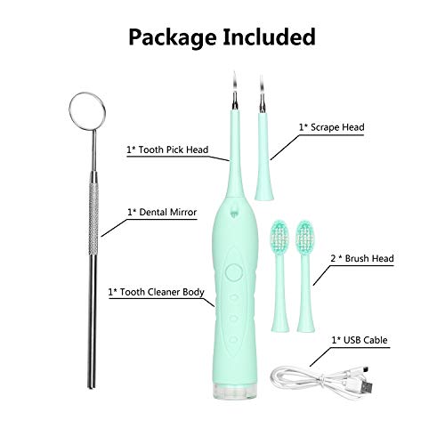 Electric Dental Calculus Remover Plaque Remover for Teeth with Electric Sonic Toothbrush Ultrasonic Tartar Scraper Stain Remover with Dental Picks Mirror(Green) - Thumbnail 6