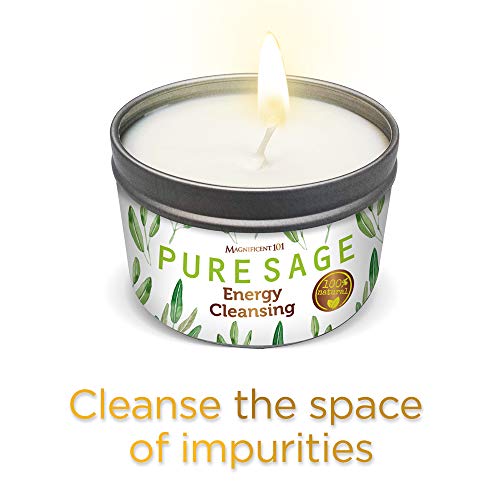 2 MAGNIFICENT101+Cleansing+Banishes+Negative+Purification