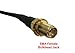 Proxicast 25 ft SMA Male to SMA Female Premium 240 Series Low-Loss Coax Cable (50 Ohm) - Antenna Lead Extender for 4G LTE, 5G Modems/Routers, Ham, ADS-B, & GPS (Not for TV or WiFi) (ANT-140-001-25)