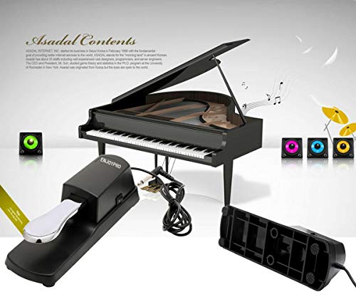 ENJOYPRO Sustain Pedal, Electronic Piano Keyboard Pedal, Universal Foot Damper Pedal with 1/4 Inch Plug