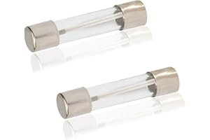 FBULWSEC 2 Pack 20A 125 Volt Microwave Fuse 530450945120A 125V Microwave Oven Fuse for GE, Kenmore Frigidaire Microwave Replaces 1810711, 5304509451,EA3486694,PS3486694,AH3486694, AP4980426