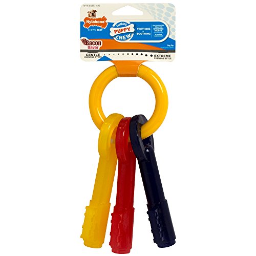 Nylabone Just For Puppies Medium Key Ring Bone Puppy Dog Tee