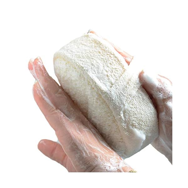 Skystuff-2-Packs-Bath-Shower-Loofah-Sponge-Natural-Loofah-Sponge-Shower-Body-Scruber-Brush-for-Men-Women-Bath-Spa-and-Shower-Thickened-Size-145-cm-x-10-cm-x-5-cm Skystuff 2 Packs Bath Shower Loofah Sponge, Natural Loofah Sponge Shower Body Scruber Brush for Men Women Bath, Spa and…