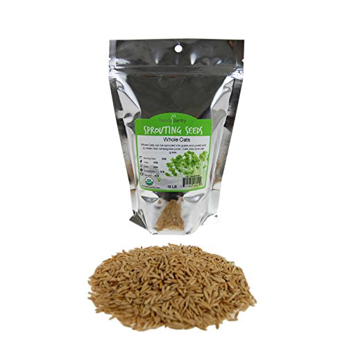Organic Non-GMO Whole Oat Grain Seeds (With Husk Intact)- 1 Lb Re-Sealable Pouch- Oats Seed Grains, for Sprouting, Oat Grass, Animal Feed, Storage & More