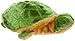 Silver Lilly Turtle Slippers - Plush Novelty Sea Animal Slippers