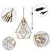 SEEBLEN Plug in Pendant Light Gold Hanging Light Fixture with 15 Ft Plug in Cord On/Off Switch Vintage Metal Cage Pendant Light Fixtures