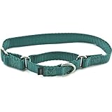 PetSafe Martingale Collar, 3/8