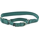 Premier Collar, Large 1-Inch, Teal, My Pet Supplies