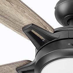 Prominence Home 51649-01 Lorelai Smart Ceiling Fan