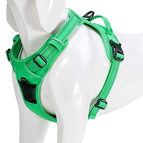 WINHYEPET True Love Dog Harness, No-Pull Reflective Pet Harness with 2 Leash Clips Adjustable Soft Padded Dog Vest with Easy Control Handle for Small Medium Large Dog TLH5651(Grass Green,S)