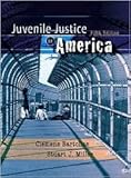 Juvenile Justice In America Clemens Bartollas Stuart J Miller 9780135119990 Amazon Com Books