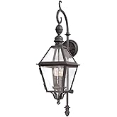 Troy Lighting B9621-TBK Townsend-3 Light Outdoor Medium Wall Lantren-9.25 Inches Wide by 33 Inches High