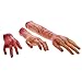 Halloween Haunters 5 Piece Fake Bloody Severed Human Body Parts Latex Prop Decoration - Scary Realistic Broken Exposed Bone Hands, Fingers, Arms, Legs & Feet - Zombie Haunted House Graveyard Cemetery