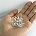 Small Princess Crowns Tiaras Party Favors for Women Girls Toddler Bulk Combs Clips Hair Accessories Pack of 12