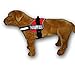 Therapy Dog Harness Service Working Vest Jacket Removable Patches,Purchase Comes with 2 Therapy Dog Reflective pathces. Please Measure Dog Before Ordering. (Girth 24-31