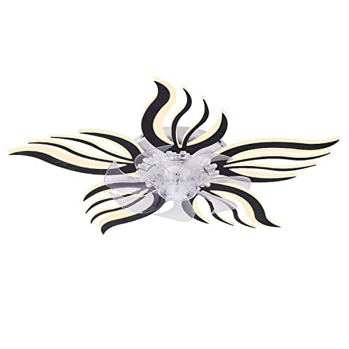 HUEOCZW Ceiling Fans with Lights and Remote，27