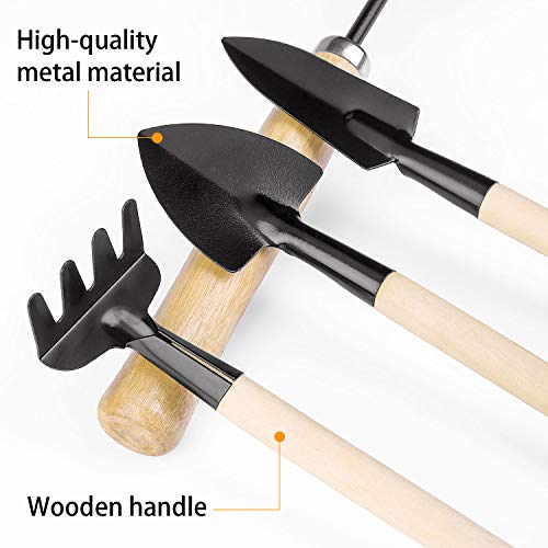 Bonsai Tools Kit 9 PCS for Starter - Fold Scissor, Brush, Tweezer, Mini Rake, Shove Weeding Fork Set - Thumbnail 3