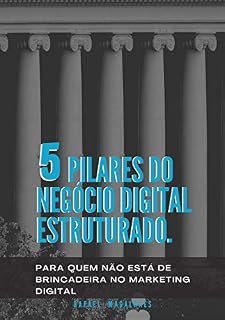 Livro 5 Pilares do Negócio Digital Estruturado: Para quem não está de brincadeira no Marketing Digital