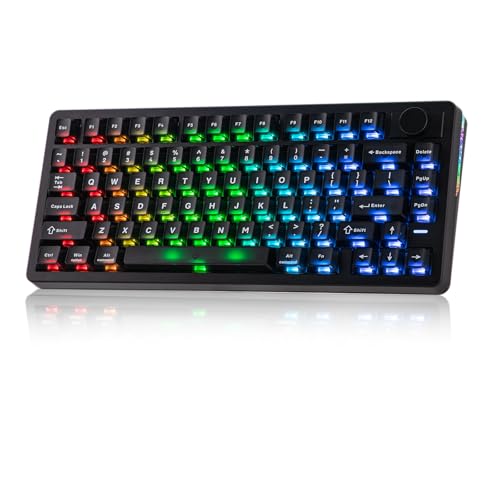 EPOMAKER HE75 V2 Hall Effect Gaming Keyboard, 8K Polling & 0.1ms, 8000mAh & 2.4Ghz/BT, Hot Swap Key & Knob, 0.005mm Adjustable Actuation, Rapid Triggering, Creamy & Thocky (Black)