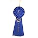 HAYES SPECIALTIES 1st Place Rosette Ribbon