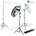 LimoStudio 700W Photography Light Photo Video Studio Umbrella Lighting Kit, 10 x 10 ft. Studio backdrops Backgrounds Support kit, AGG711