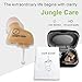 Jungle Care Audiologist Designed Digital CIC Hearing Amplifier PSAP - Completely Invisible in Ear Canal, Noise Reduction, Feedback Cancellation, Personal Sound Amplifier (Pair - Both Ears)