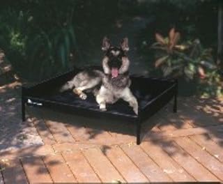 petmate elevated dog bed