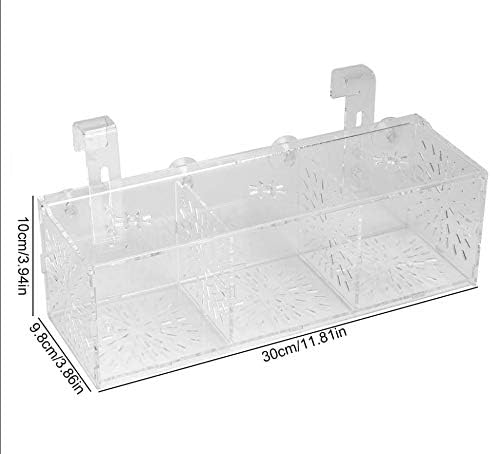 Pssopp Fish Tank Breeding Isolation Box Aquarium Acclimation Hatchery Incubator Acrylic Transparent Aquarium Hatchery Incubator Holder(30CM*10CM*10CM) - Image 3