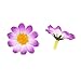 Topixdeals 100x Gerbera Daisy Flowers Heads for DIY Wedding Party (Purple with White)