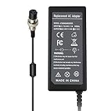 Domallk 24V 2A 48W Female 3-Pin Electric Scooter Battery Adapter Charger for Razor E100 E175 E200 E225 E300 E325 E125 E150 E500