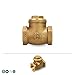 1 inch No Lead Brass Swing Check Valve With IPS Female Threaded Connections