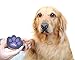 FACEFOODING Claw Care PET Nail File, 2 Sides File, Comfort Grip, Purple Plastic, Coarse & Fine Grit
