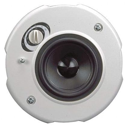 In Ceiling Speaker White 20 Max Wattage Amazon Com