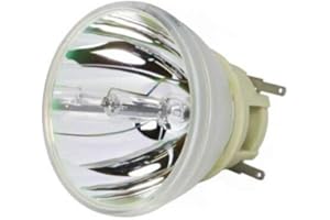 GOLDENRIVER BL-FP240G SP.7AZ01GC01 BLFP240G SP7AZ01GC01 Projector Lamp Original Bare Bulb Compatible with Optoma WU334 / HD14