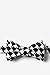 Wild Ties Dentists' Teeth Black Microfiber Bow Tie