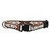 NFL San Francisco 49ers Team Pet Collar, Medium