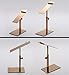 Nipole Modern Stainless Steel Adjustable Shoes Display Stands Rack in Shopping Mall (Brushed Rose Gold)