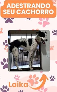 Livro Adestramento de Cachorros - Princípios do adestramento positivo: Aprenda como adestrar em casa, de forma fácil e positiva!