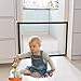 EXPAWLORER Dog Safety Magic Gate - Black Mesh Foldable Portable Anywhere Installed Isolation for Small Pets