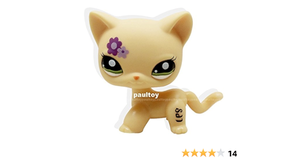 lps flower cat
