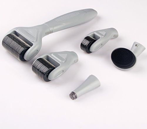 New 6 in 1 Micro Needles Stainless Steel Microneedle Derma Roller Needle Home Use Facial Skin Face Body Care Massage Tools