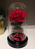 Homeseasons “ Beauty and the Beast ”- Enchanted LED Red Rose in Glass Dome