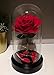 Homeseasons “ Beauty and the Beast ”- Enchanted LED Red Rose in Glass Dome
