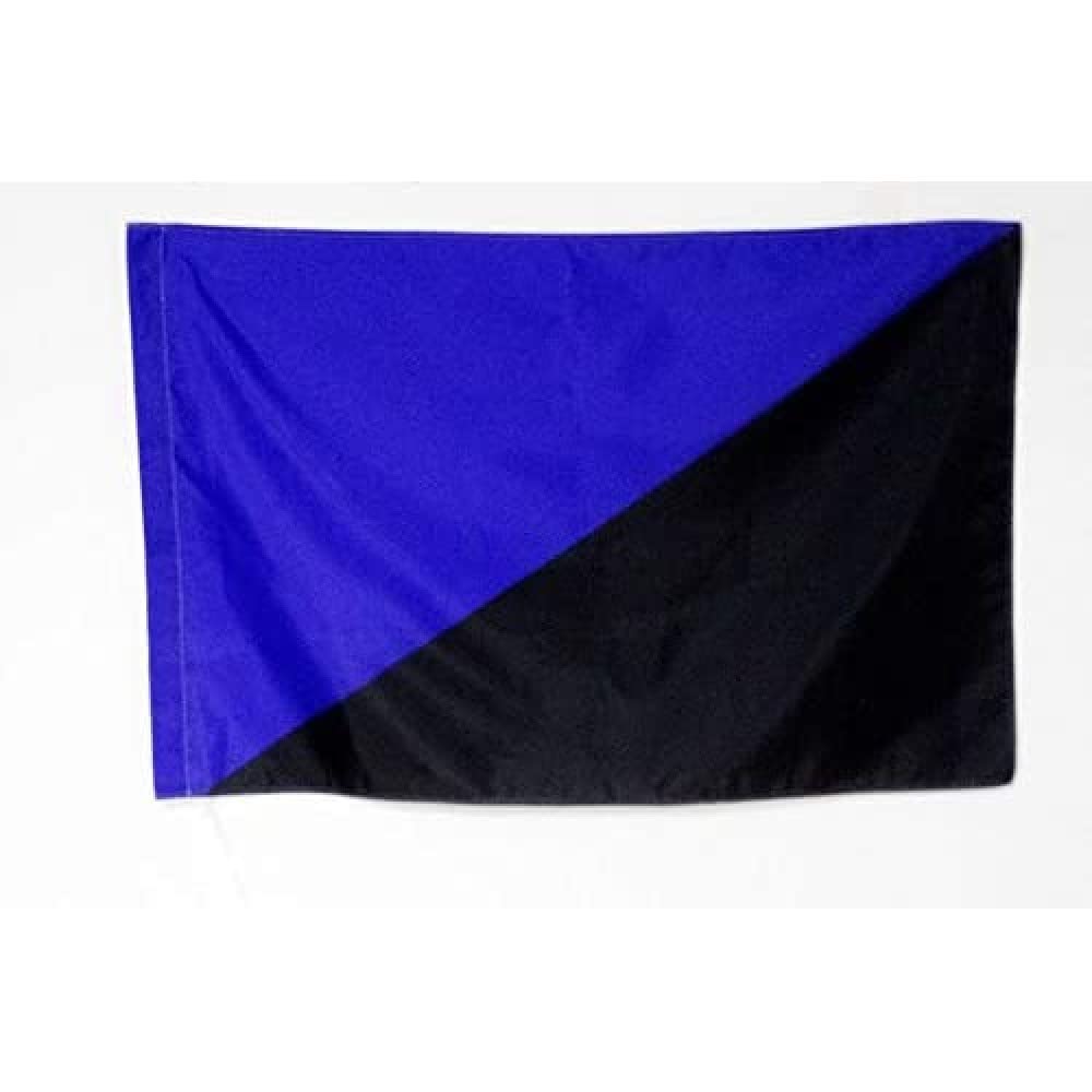 AZ FLAG - Anarcho-transhumanism Flag - 3x5 Ft - Anarchist transhumanist Banner with Sleeve - 100% Polyester - Fade Resistant - Vivid Colors - 3' x 5' Feet - 150x90 Cm