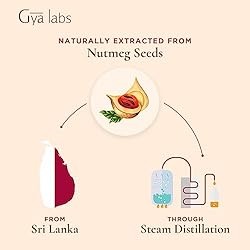 Gya Labs Mace Essential Oil - Sweet & Spicy Scent