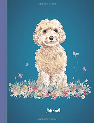 sweet blessings cockapoo