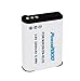 Essential Accessories Kit For Nikon COOLPIX P900, P610, P600, B700 Wi-Fi Digital Camera Includes Replacement (2200maH) EN-EL23 Battery + Ac/Dc Charger + Micro HDMI Cable + Case + 57